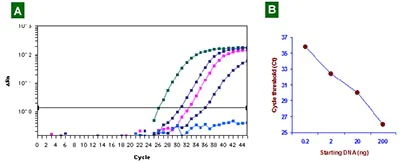 Functional Studies - Fast Bisulfite Conversion Kit (AB117127)