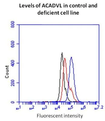Flow Cytometry - Fatty Acid Oxidation Assay Kit (flow cytometry) (AB118183)