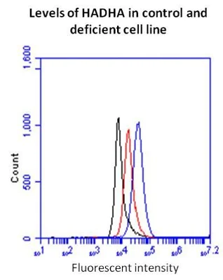 Flow Cytometry - Fatty Acid Oxidation Assay Kit (flow cytometry) (AB118183)