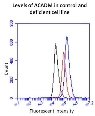 Flow Cytometry - Fatty Acid Oxidation Assay Kit (flow cytometry) (AB118183)