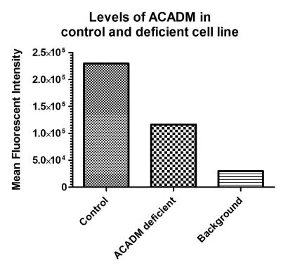 Flow Cytometry - Fatty Acid Oxidation Assay Kit (flow cytometry) (AB118183)