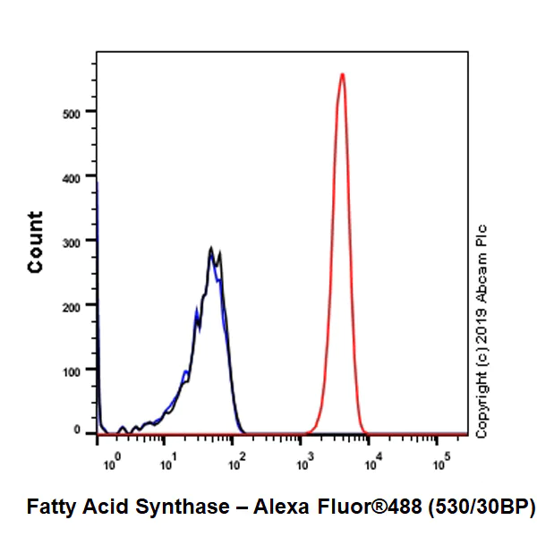 Flow Cytometry (Intracellular) - Anti-Fatty Acid Synthase antibody [EPR7466] - BSA and Azide free (AB221934)