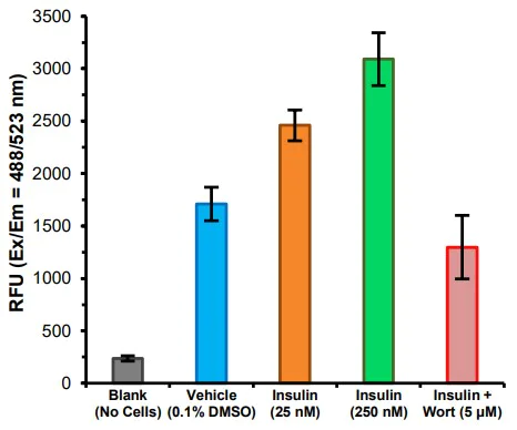 Functional Studies - Fatty Acid Uptake Assay Kit (AB287857)