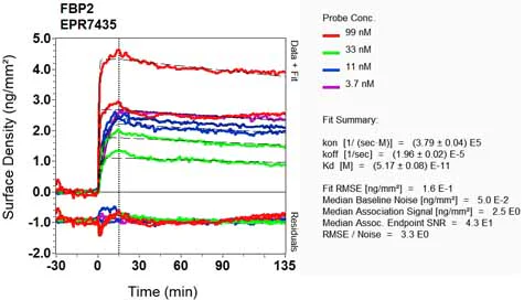OI-RD Scanning - Anti-FBP1 + FBP2 antibody [EPR7435] (AB131333)