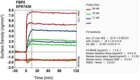 OI-RD Scanning - Anti-FBP2 antibody [EPR7436] - BSA and Azide free (AB248391)