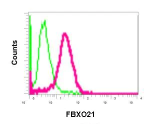 Flow Cytometry (Intracellular) - Anti-FBXO21 antibody [EPR13163] - BSA and Azide free (AB250120)