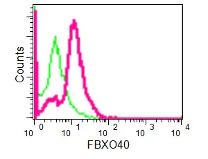 Flow Cytometry (Intracellular) - Anti-FBXO40 antibody [EPR15005] (AB190688)