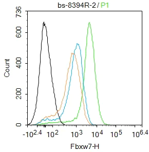 Flow Cytometry (Intracellular) - Anti-Fbxw7 Antibody (AB317368)