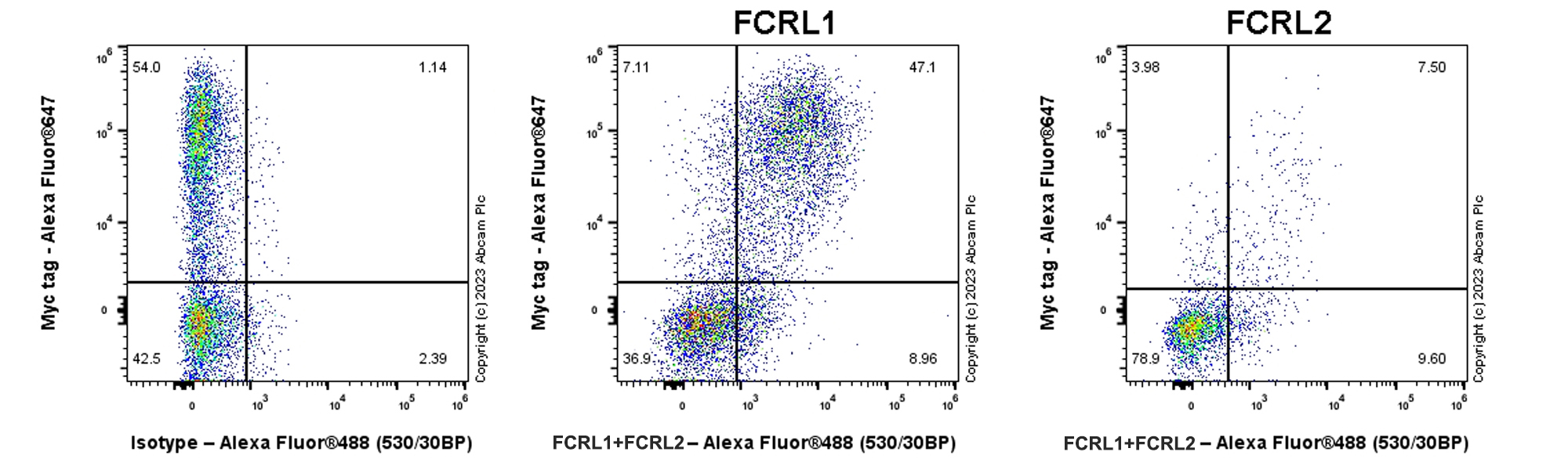 Flow Cytometry (Intracellular) - Anti-FCRL1+FCRL2 antibody [EPR26947-62] (AB308064), expandable thumbnail