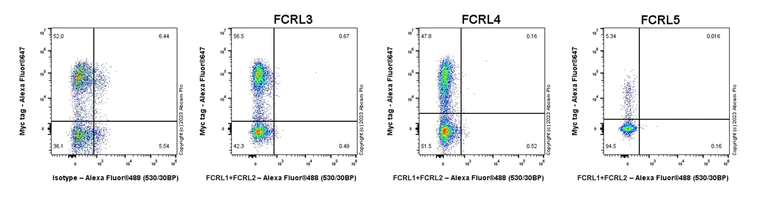 Flow Cytometry (Intracellular) - Anti-FCRL1+FCRL2 antibody [EPR26947-62] - BSA and Azide free (AB308065)