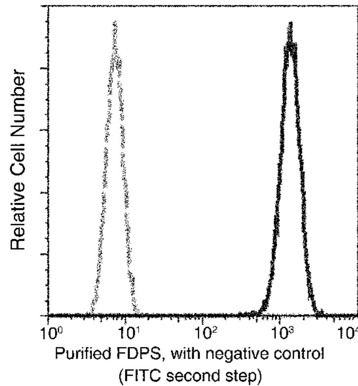 Flow Cytometry (Intracellular) - Anti-FDPS/FPS antibody [005] (AB277132)