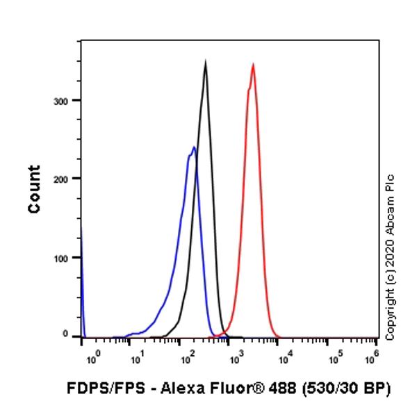 Flow Cytometry (Intracellular) - Anti-FDPS/FPS antibody [EPR4628] (AB109007)