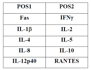Multiplex Protein Detection - Feline Cytokine Antibody Array (10 Targets) - Quantitative (AB197414), expandable thumbnail