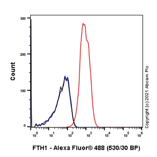Flow Cytometry (Intracellular) - Anti-Ferritin antibody [RM1036] - BSA and Azide free (AB287969)