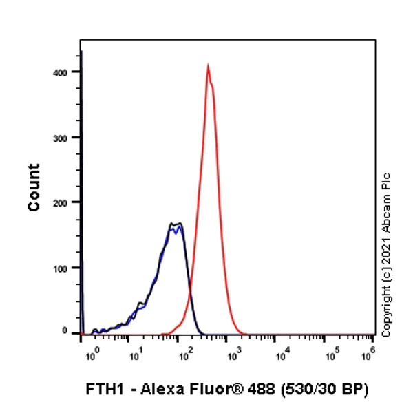 Flow Cytometry (Intracellular) - Anti-Ferritin antibody [RM1036] - BSA and Azide free (AB287969)