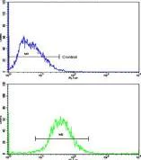 Flow Cytometry (Intracellular) - Anti-Ferritin Heavy Chain antibody - C-terminal (AB194947)