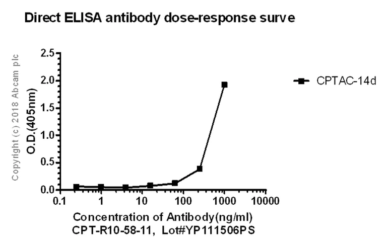 ELISA - Anti-Ferritin Light Chain antibody [CPT-R10-58-11] (AB243096)
