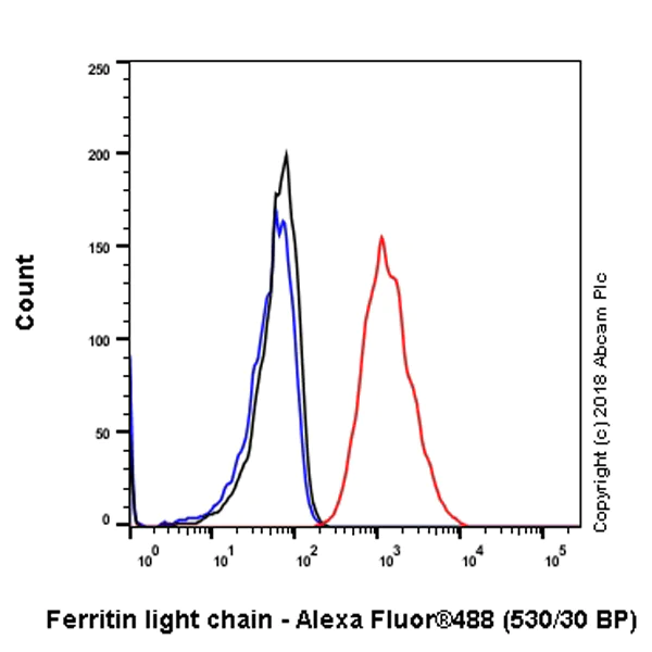 Flow Cytometry (Intracellular) - Anti-Ferritin Light Chain antibody [CPT-R10-58-11] (AB243096)