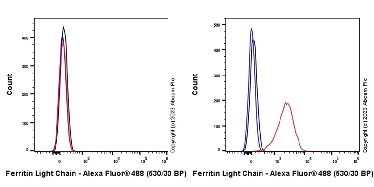 Flow Cytometry (Intracellular) - Anti-Ferritin Light Chain antibody [EPR26117-110] - BSA and Azide free (AB313564)