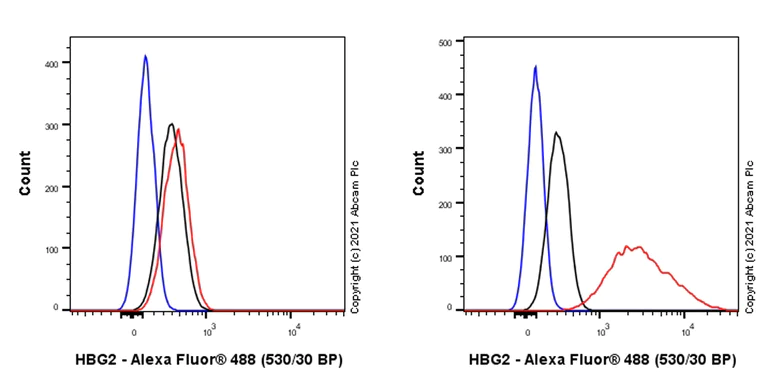 Flow Cytometry (Intracellular) - Anti-fetal hemoglobin antibody [EPR23381-254] - BSA and Azide free (AB283333)