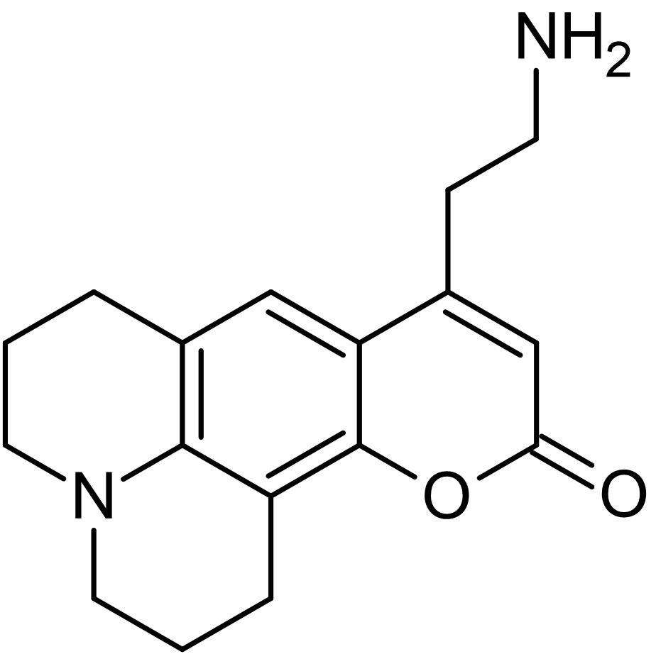 Chemical Structure - FFN511, Fluorescent substrate for VMAT2 (AB120331)