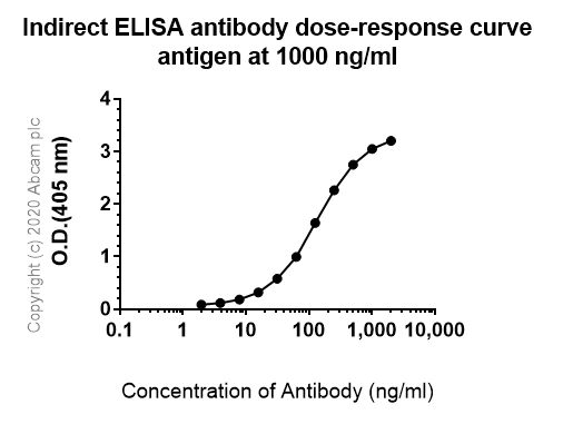 Indirect ELISA - Anti-FGF2 antibody [EPR20145-219] - BSA and Azide free (AB271983)
