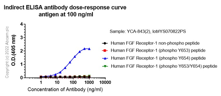 Indirect ELISA - Anti-FGFR1 alpha (phospho Y654) antibody [EP843(2)] (ab134043), expandable thumbnail