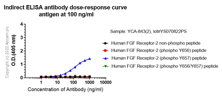 Indirect ELISA - Anti-FGFR1 alpha (phospho Y654) antibody [EP843(2)] (AB134043), expandable thumbnail