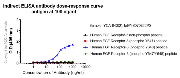 Indirect ELISA - Anti-FGFR1 alpha (phospho Y654) antibody [EP843(2)] (AB134043), expandable thumbnail