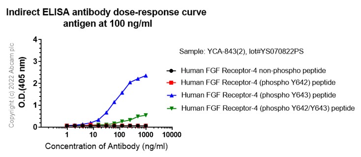 Indirect ELISA - Anti-FGFR1 alpha (phospho Y654) antibody [EP843(2)] - BSA and Azide free (AB284808)