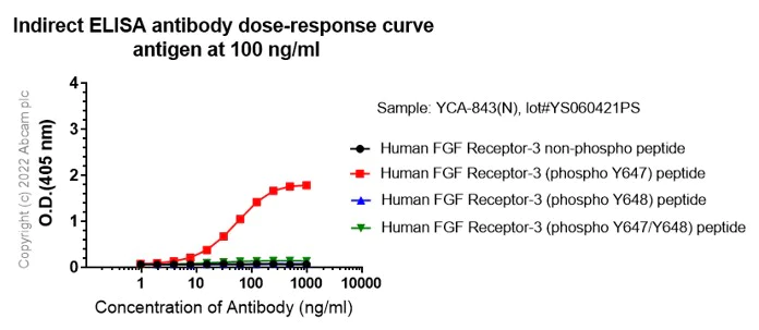 Indirect ELISA - Anti-FGFR1 (phospho Y653) antibody [EPR843(N)] (AB173305)