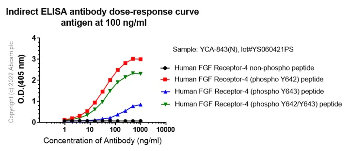 Indirect ELISA - Anti-FGFR1 (phospho Y653) antibody [EPR843(N)] (AB173305)