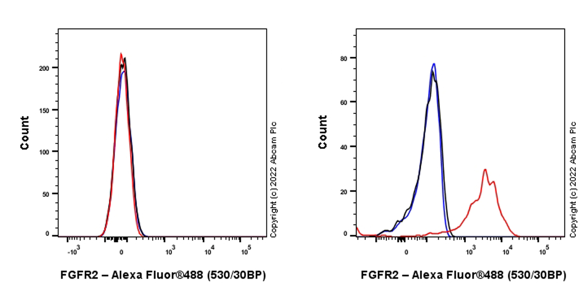 Flow Cytometry - Anti-FGFR2 antibody [EPR24075-418] (AB289968), expandable thumbnail