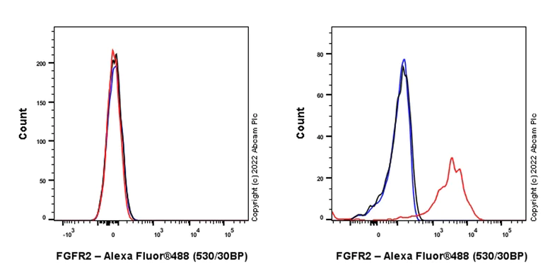 Flow Cytometry - Anti-FGFR2 antibody [EPR24075-418] (AB289968)