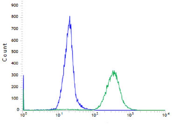 Flow Cytometry - Anti-FGFR2 antibody [SP273] - BSA and Azide free (AB272012)