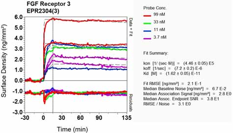 OI-RD Scanning - Anti-FGFR3 antibody [EPR2304(3)] (AB133644), expandable thumbnail