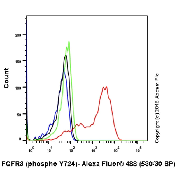 Flow Cytometry (Intracellular) - Anti-FGFR3 (phospho Y724) antibody [EPR2281(3)] - BSA and Azide free (AB271918)