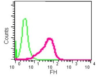 Flow Cytometry (Intracellular) - Anti-FH/Fumarase antibody [EPR11647(2)(B)] - N-terminal (AB184945), expandable thumbnail