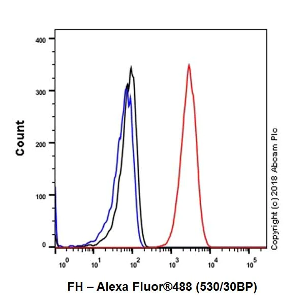 Flow Cytometry (Intracellular) - Anti-FH/Fumarase antibody [EPR21105] - BSA and Azide free (AB234907)