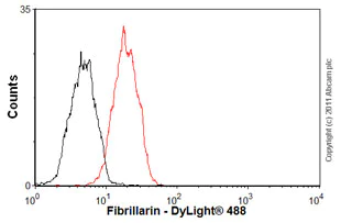 Flow Cytometry - Anti-Fibrillarin antibody [38F3] - Nucleolar Marker (AB4566)