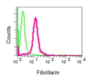 Flow Cytometry (Intracellular) - Anti-Fibrillarin+Fibrillarin-like protein 1 antibody [EPR10823(B)] - Nucleolar Marker (AB166630)