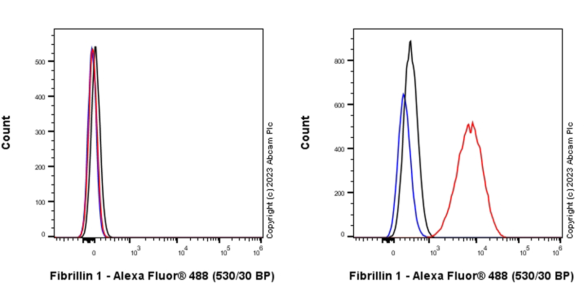 Flow Cytometry (Intracellular) - Anti-Fibrillin 1 antibody [EPR27362-78] - BSA and Azide free (AB315385), expandable thumbnail