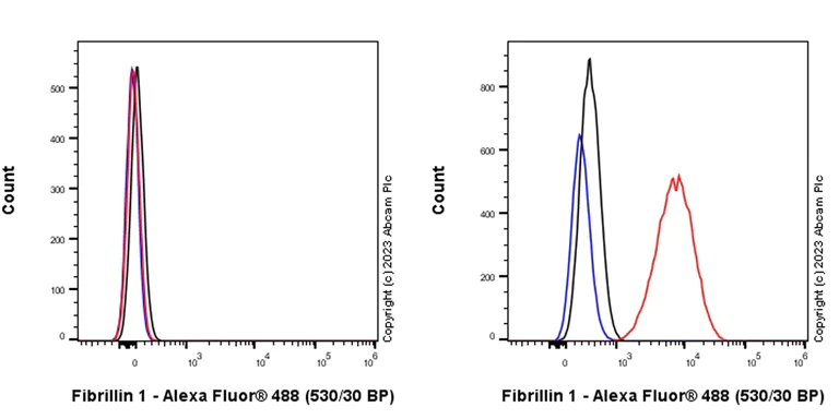 Flow Cytometry (Intracellular) - Anti-Fibrillin 1 antibody [EPR27362-78] - BSA and Azide free (AB315385)