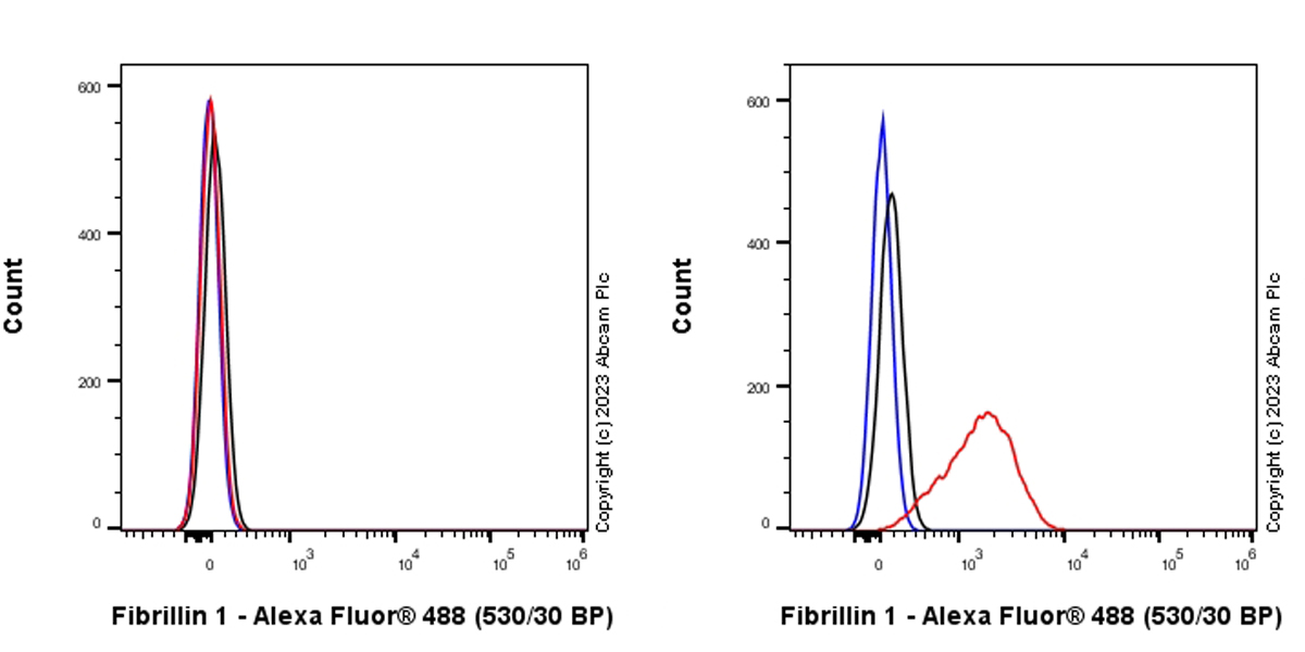 Flow Cytometry (Intracellular) - Anti-Fibrillin 1 antibody [EPR27362-78] - BSA and Azide free (AB315385), expandable thumbnail