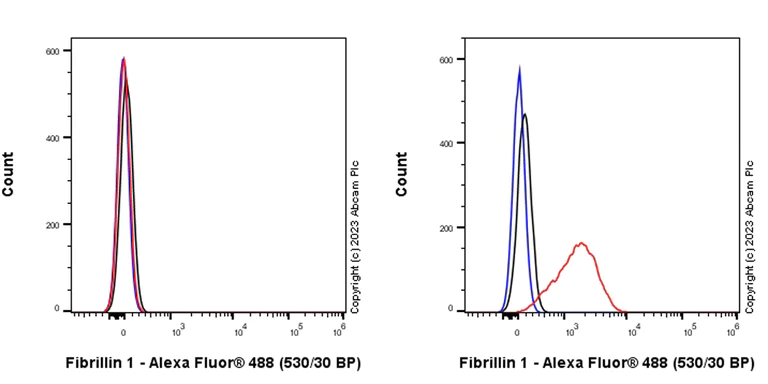 Flow Cytometry (Intracellular) - Anti-Fibrillin 1 antibody [EPR27362-78] - BSA and Azide free (AB315385)