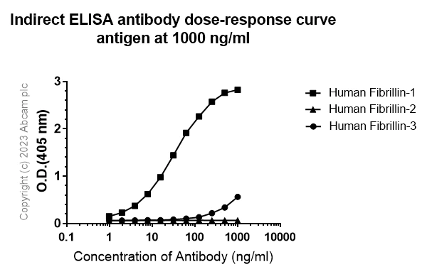 Indirect ELISA - Anti-Fibrillin 1 antibody [EPR27362-78] - BSA and Azide free (AB315385)