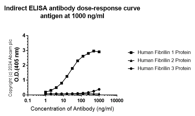 Indirect ELISA - Anti-Fibrillin 1 antibody [RM1179] - BSA and Azide free (AB317581)