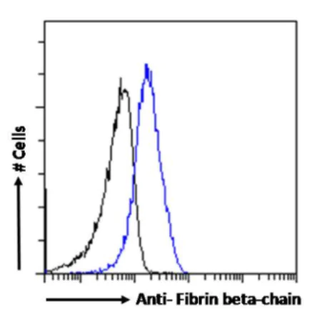 Flow Cytometry - Anti-Fibrinogen beta chain antibody [8E5] (AB288415)