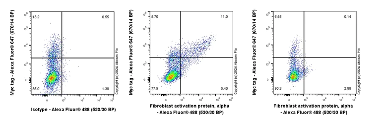 Flow Cytometry - Anti-Fibroblast activation protein, alpha antibody [EPR27358-9] (AB317555)