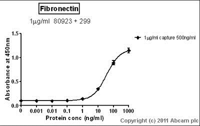 Sandwich ELISA - Anti-Fibronectin antibody (AB299)